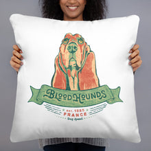 Load image into Gallery viewer, Bloodhound – Pillows
