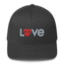 Load image into Gallery viewer, &quot;LOVE&quot; DOG LOVERS DESIGN – Elastic Structured Twill Hats
