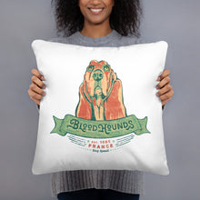 Load image into Gallery viewer, Bloodhound – Pillows
