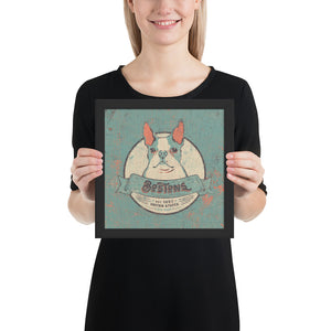 Boston Terrier – Framed Posters