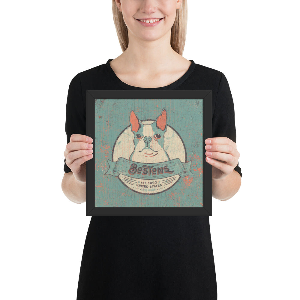 Boston Terrier – Framed Posters