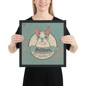 Boston Terrier – Framed Posters