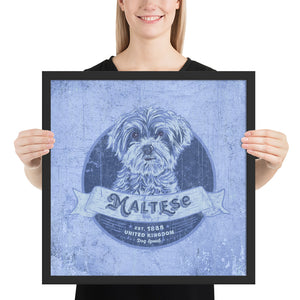 Maltese – Framed Posters