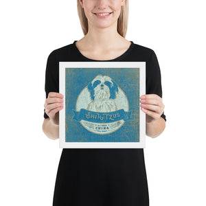 Shih Tzu – Framed Posters