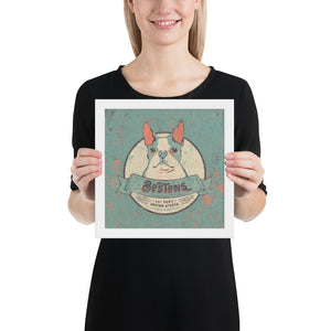 Boston Terrier – Framed Posters