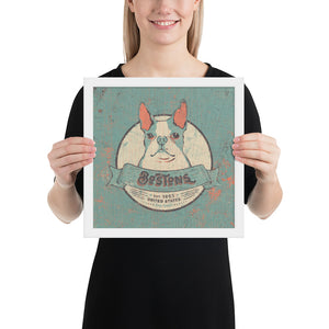 Boston Terrier – Framed Posters