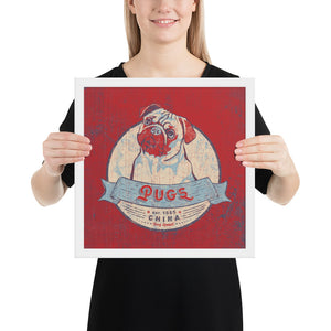 Pug – Framed Posters