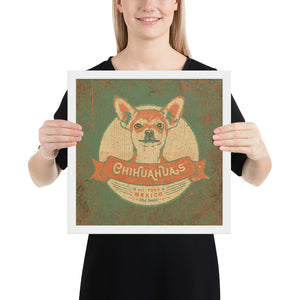 Chihuahua – Framed Posters