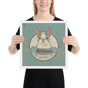 Boston Terrier – Framed Posters