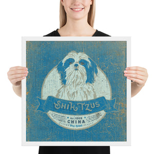 Shih Tzu – Framed Posters