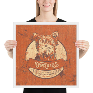 Yorkie – Framed Posters