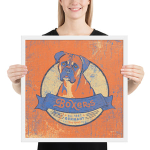 Boxer – Framed Posters